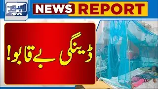 Dengue Cases increased after rain | Lahore News HD