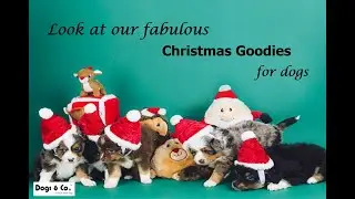 Dogs & Co - Christmas Gift Ideas for Dogs 2018