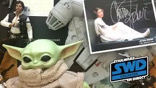 SWD Collector - Est-ce qu'une collection peut prendre fin?