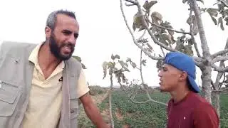 مقران و زربوط😂😂😂 غلاء الاسعار عدس ولوبيا