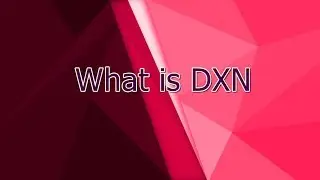What is DXN