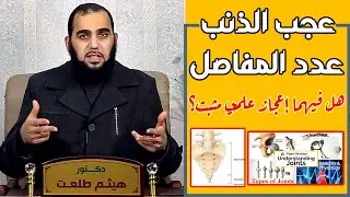 حديث عجب الذنب وحديث عدد المفاصل : هل فيهما إعجاز علمي مُثبت؟