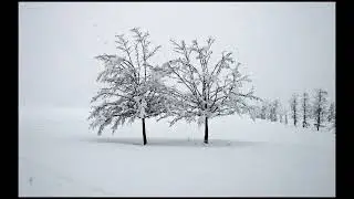 Neve al Parco di Monza nel 2006