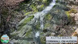 March Walk in Cornwall on Hudson