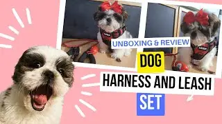 Dog Harness and Leash Set / Unboxing & Review / Amazon / Lexus Lux Paws