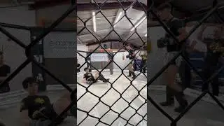 teeb front kick mayo martial arts #trending #viral