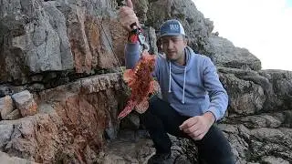 Light shore jigging - Red Scorpionfish (Skarpina)