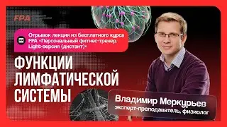 Функции лимфатической системы | Владимир Меркурьев (FPA) | Бесплатный курс «Персональный тренер»