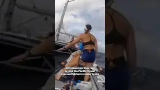 Alec turned around just four days into his circumnavigation to rescue his new friends 🌊