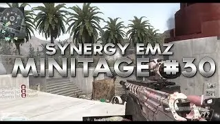 Synergy EmZ: Minitage #30 by VLz