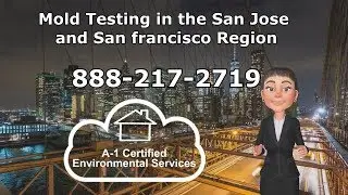 Mold Testing San Jose