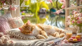 Soft Spring Cat Music 🐈 Calming Feline Therapy for Relaxation, Anxiety Relief & Deep Sleep