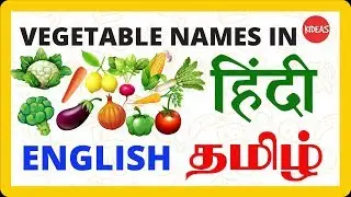Learn Vegetable Names in Hindi, English & Tamil  - Trilingual Series - Animated Video for kids