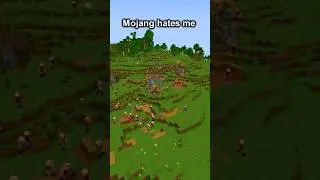 Minecraft meme