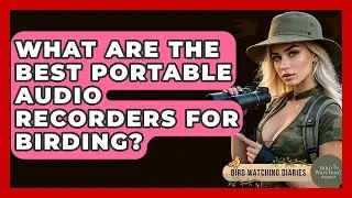 What Are The Best Portable Audio Recorders For Birding? - Bird Watching Diaries