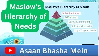 Maslow's Hierarchy of Needs In Hindi | Maslow Hierarchy, Theory of Motivation | Meaning | Stages