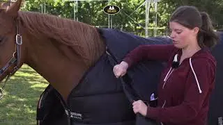 Horseware | Rambo Optimo Turnout 0G Outer & 150GHood, 400G Liner