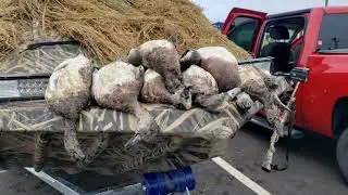 Washington State Duck Season 2020