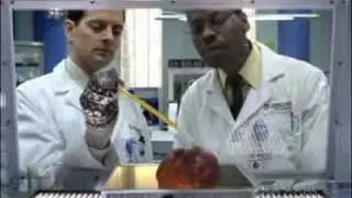 Better off Ted 1x01 trailer #1 (HQ)