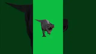 dinosaur walking green screen