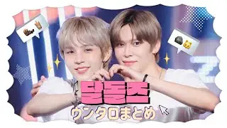 【日本語字幕】ウンタロまとめ🦦🪨 【달돌즈】