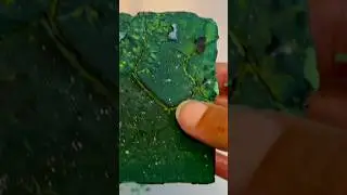 ASMR | Deep Dyed Buttery Soft Homemade Gym Chalk Crush 🟩 | #dusty #asmrsounds #homemade #gymchalk