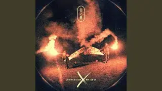 Forgiver (Live)