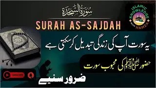 Surah As-Sajdah (سورة السجدة) | Beautiful Quran Recitation | Islamic Knowledge with Hamza786