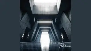 Dark Echoes