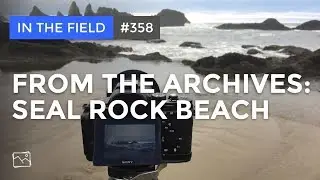 In The Field: From The Archives - Seal Rock Beach #358