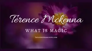 What Is Magic? - Terence Mckenna