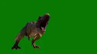 T Rex Dinosaur roaring on Green screen