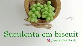 Diy :Suculenta em biscuit 02