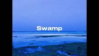 Swamp - 소행성(minorplanet)