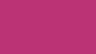 10 Hours Of Fuchsia Rose in 4K