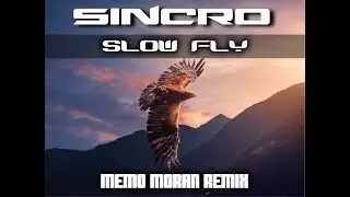 SINCRO - Slow Fly - Memo Moran Remix