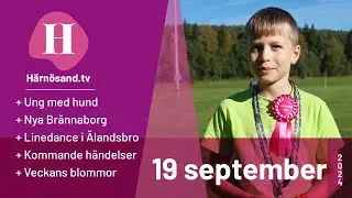 Härnösand.tv - 19 september 2024