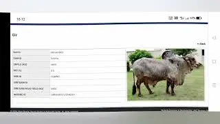 HBSSRC SEMEN CENTRE, 👍 Hisar all gir bull list 🔆 Semen available all over in India ✨