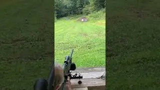 Dad sighting in the umarex hammer 50 cal