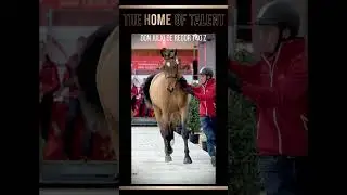 3rd phase BWP Stallion Selection Show