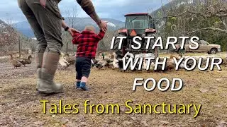 Farm Stuff | Your animals deserve quality food. This is 2,200lbs of the GOOD stuff.