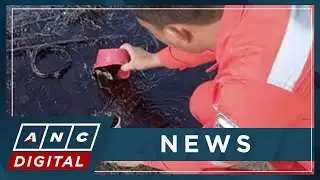 PH Coast Guard: Oriental Mindoro oil spill reaches Antique | ANC