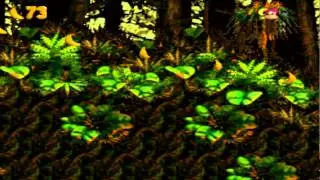 Let's Play DKC3 [BLIND] Part 24: Siezure Stampedes
