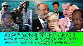 ጄኔራላት ኤርትራ፡ናቕፋኹም ሓዙልና፡አፍሪካን ኢንተልጀንስ፡UN፡ አልጀርያ ፡ቱርኪ ሱዳን፡