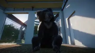 Planet Zoo (PC)(English) #168 8 Minutes of Sloth Bear (Eurasia DLC)