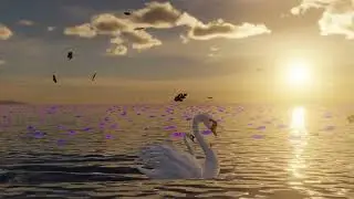 15 min Chill loop Beauty Swam music. #chill #music #beautiful #swam #mix #goodvibes