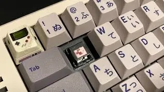 alpaca on ramaworks thermal - type with me video