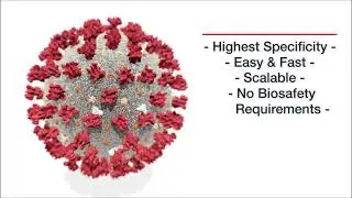 SARS-CoV-2 Neutralizing Antibodies Detection Kit (AG-48B-0002)