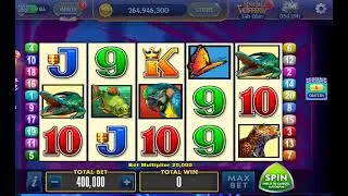 casino slots  brazil 蝴蝶  韩国赌场热门老虎机