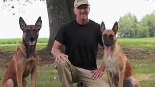 Malinois MADNESS!